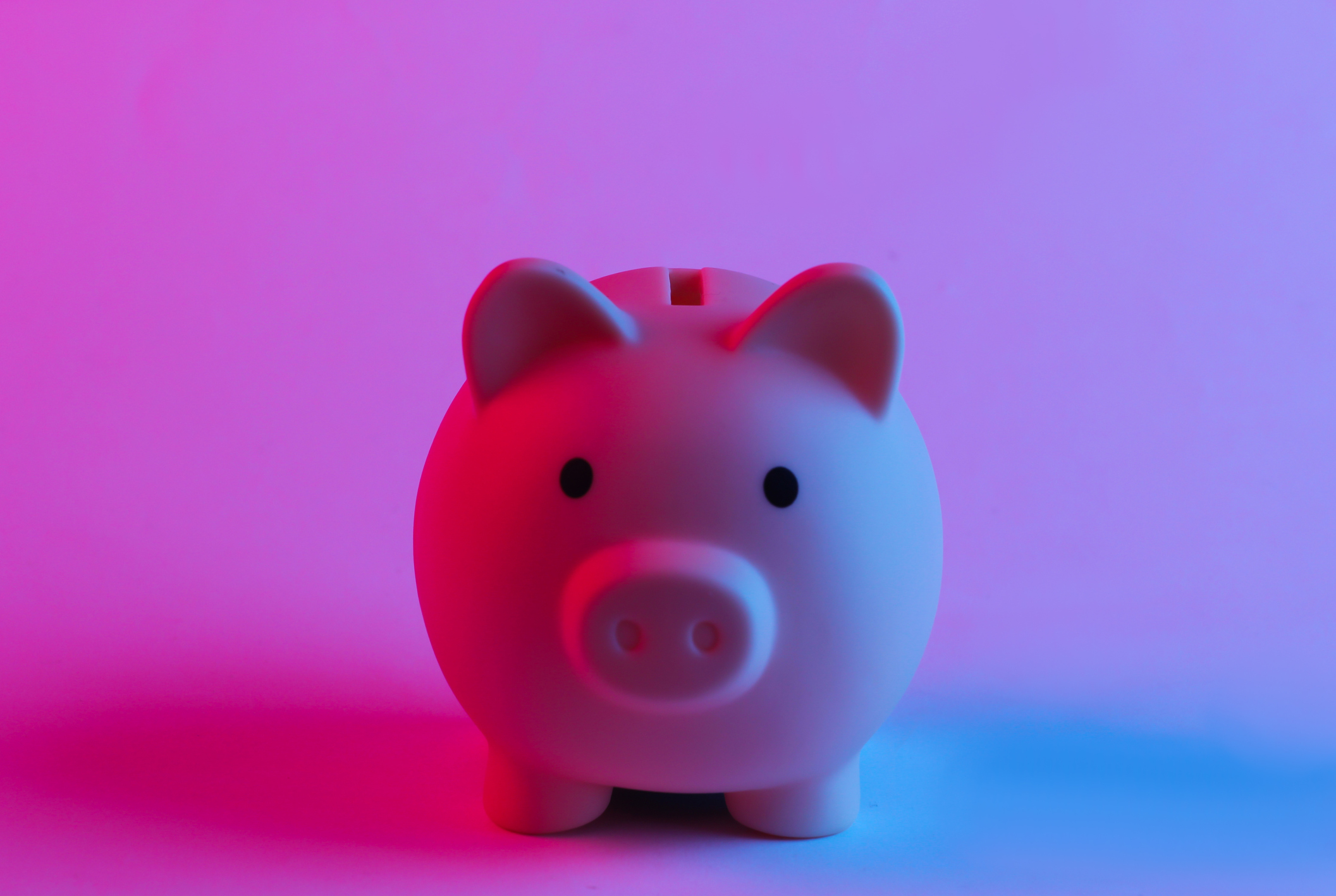 piggy bank